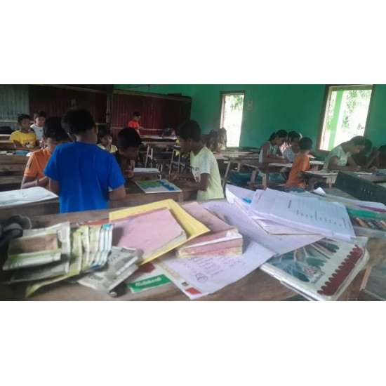  Free/Low-cost Schooling 